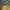 Stone Island Streetwear Casual Windbreaker Pria Yellow