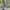C.P. Company Streetwear Casual Puffer jacket Pria navy black photo 1
