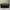 Chanel Vintage Shoulder bag Wanita black photo 6