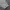 Nike Sportswear Windbreaker Pria gray photo 4