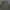 TBJ Nearby Vintage Streetwear Parka Pria green gray photo 8