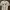 COMME des GARÇONS Streetwear Casual T-shirt Wanita white black photo 1