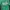 Adidas Sportswear Casual Cardigan Wanita green photo 3
