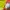 Nike Casual Short Pria multicolor photo 6