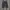 Cinema Club Streetwear Casual Short Pria black gray photo 1