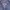 K2 Gorpcore Hoody Pria navy photo 5