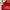 COMME des GARÇONS Streetwear Skater Windbreaker Pria red photo 2