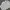 Japanese brand Sportswear Casual Mini skirt Wanita white photo 4