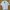 Prada Luxury Casual shirt Pria white photo 1