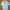 Prada Luxury Casual Shirt Pria White