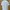 Prada Luxury Casual shirt Pria white photo 2