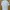 Prada Luxury Casual Shirt Pria White