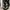 Adidas Vintage Luxury Pria black photo 6