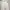 Dickies Skater Formal pants Pria khaki photo 1