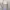 Luxury Minimalist Midi dress Wanita gray photo 2