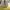 Coach Casual Crossbody Bag Wanita white photo 6