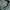 Adidas Sportswear Jersey Wanita green photo 4