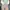 Casual Wanita white green photo 1