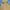 Luxury Gorpcore Track jacket Pria orange yellow photo 4