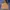 Luxury Gorpcore Track jacket Pria orange yellow photo 1