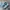 Adidas Casual Sneakers Pria blue photo 1