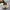 Puma Streetwear Sneakers Wanita green pink photo 4