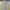 C.P. Company Vintage Casual Casual Pants Pria Gray
