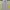 C.P. Company Vintage Casual Casual pants Pria gray photo 5