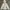 Jean-Michel Basquiat Sportswear Windbreaker Wanita white photo 1