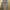 ZARA Streetwear Jeans Pria blue photo 1