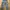 ZARA Streetwear Jeans Pria Blue
