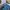Bobson Grunge Indie Denim jacket Pria blue photo 3