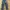 ZARA Streetwear Jeans Pria blue photo 3