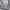 A Bathing Ape Streetwear Suit Pria gray photo 3