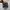 Adidas Casual Sneakers Pria black photo 4
