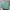 Luxury Lolita Bags & purse Wanita multicolor green photo 3