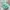 Luxury Lolita Bags & Purse Wanita Multicolor Green