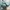 Luxury Lolita Bags & Purse Wanita Multicolor Green