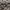 Fashion Nova Vintage Casual shirt Pria tan photo 4