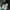 212 Degrees Bomber jacket Pria green photo 4