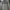 212 Degrees Bomber jacket Pria green photo 2