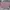 H&M Minimalist Crop top Wanita pink black photo 1