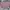 H&M Minimalist Crop Top Wanita Pink Black