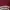 Sugar Cane Bomber jacket Pria red photo 6