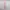 Lolita Fairy Skirt Wanita multicolor pink photo 2