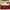 Valentino Vintage Wallet Wanita khaki yellow photo 4