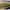 Valentino Vintage Wallet Wanita khaki yellow photo 10