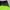 Nike Sportswear Short Wanita green black photo 3