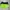 Nike Sportswear Short Wanita green black photo 2