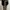 Pull & Bear Casual Belt Wanita white black photo 4